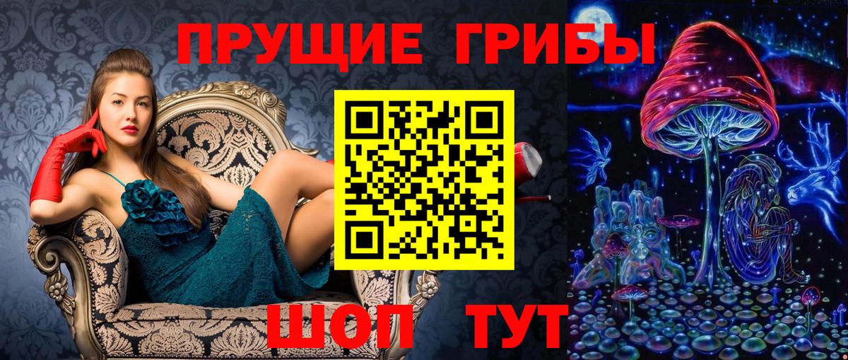 Псилоцибиновые грибы Cubensis Рыбинск