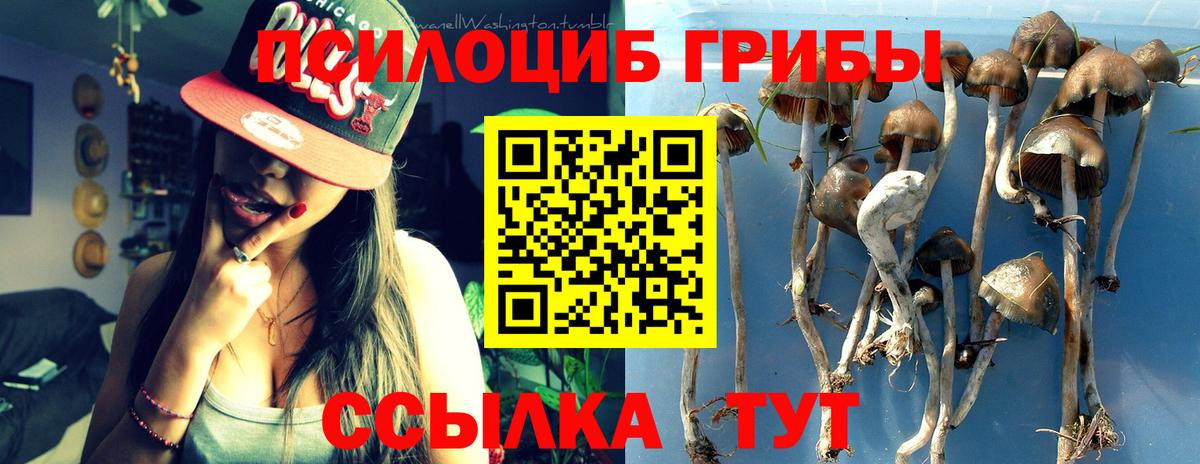 Рыбинск  Псилоцибиновые грибы GOLDEN TEACHER  Псилоцибиновые грибы Magic Shrooms  Вход с VPN 